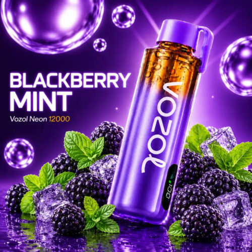 Vozol-Neon-12000-Pro-Blackberry-Mint Vozol Vape Neon 12000 Pro - Blackberry Mint