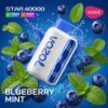 Vozol-Vape-Star-40000-Blueberry-Mint Vozol Vape Star 40000 - Blueberry Mint