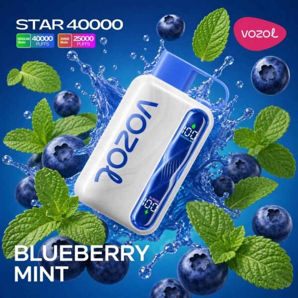 Vozol-Vape-Star-40000-Blueberry-Mint Vozol Vape Star 40000 - Blueberry Mint