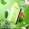 vozol-rave-40000-watermelon-bubblegum Vozol Vape Rave 40000 - Watermelon Bubblegum